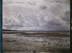 Image représentant Site palafittique préhistorique des Alpes, pieux en bois visibles lors de la baisse des eaux après la grande sécheresse de 1921