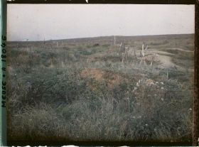Image représentant France, Thiaumont, Tranchée de Thiaumont Vue d'ensemble de la "tranchée des Baïonnettes"