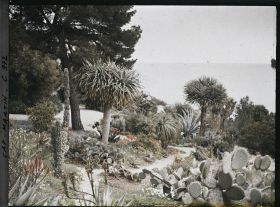 Image représentant Le Jardin vue vers la Mer