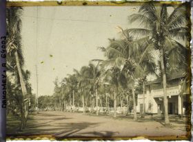 Image représentant L'avenue de la Lagune dans le quartier européen