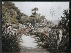 Image représentant Le Jardin, vue vers la mer