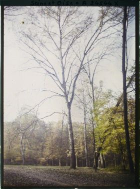 Image représentant Dans le parc