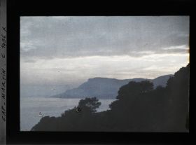 Image représentant Lignes d'arbres et pointe de Monaco vus à contre-jour, non loin de la villa Kahn, dite villa Zamir
