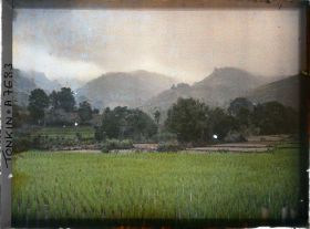 Image représentant Des rizière hautes et basses