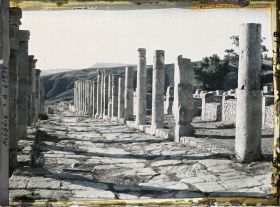 Image représentant Partie sud du Cardo Maximus, vestiges de la cité antique Cuicul