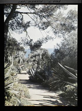 Image représentant le jardin