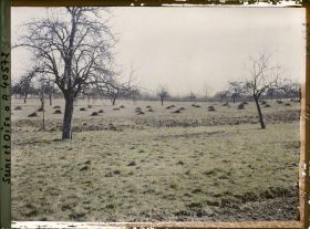 Image représentant France, Les Clayes, Champs prêts pour le labour