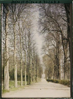 Image représentant Une allée dans le parc