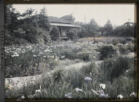 Image représentant Jardin d'iris de Horikiri