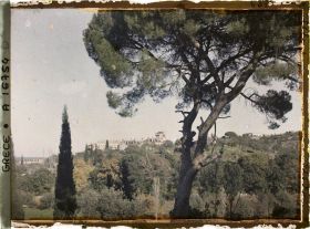 Image représentant Mont Athos, Vatopédi, Le Monastère vu à travers les pins