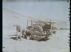 Image représentant Afghanistan, Argandé 25Kil. Sud de Kaboul, Type de Voiture à bœufs
