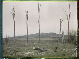 Image représentant Belgique, Kemmel, Versant Sud-Est du Mont Kemel