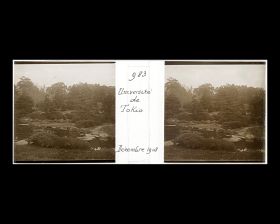 Image représentant Le jardin botanique de l'Université impériale de Tokyo