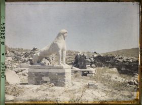 Image représentant Une lionne