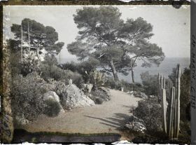 Image représentant le Jardin