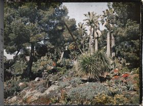 Image représentant Cap-Martin - Le Jardin