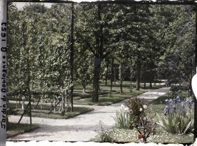 Image représentant Partie nord-ouest du verger-roseraie vue vers la dépendance, depuis l'allée longeant la forêt bleue