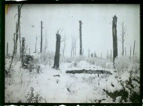 Image représentant France, Bois des Loges, 1ères Lignes Françaises en Mars 1917