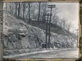 Image représentant Canada, Montréal, Coupe Calcaire du Mt Royal