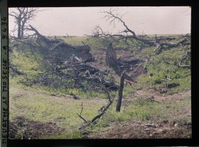 Image représentant France, Léomont, Arbres tombes et Képis