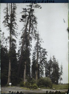 Image représentant Canada, Vancouver, Une vue du Parc
