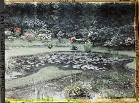 Image représentant Le marais