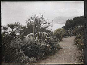 Image représentant Le Jardin, vue vers la mer