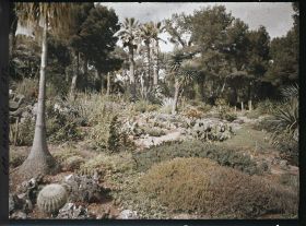 Image représentant Cap-Martin - Le Jardin