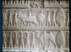 Image représentant Escalier nord de l'Apadana, détail de la procession des tributaires (les Bactriens)