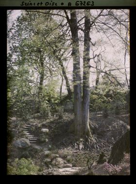 Image représentant Le jardin japonais de l'école normale supérieure de jeunes filles (ENSJF)