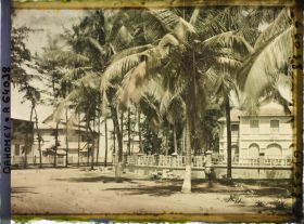 Image représentant Une avenue du bord de mer dans le quartier européen