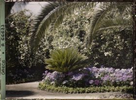 Image représentant L'Achilleion - Les Jardins