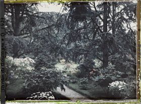 Image représentant L'allée qui mène au marais