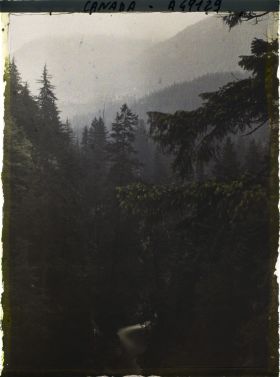 Image représentant Canada, Vancouver, Capilano Canyon- Autre Paysage sous la pluie au 2e Canyon