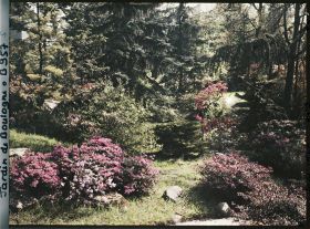 Image représentant Pierres, azalées et érables rougeoyants, situés à l'entrée du " sanctuaire japonais "