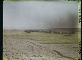 Image représentant Champs de maïs