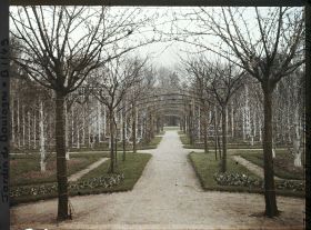 Image représentant Axe central du verger-roseraie vu en direction du jardin anglais depuis le rond-point côté dépendance