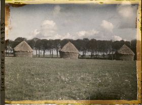 Image représentant Seine et Oise, Moisselles, Groupe de meules de blé en bordure d'une allée d'arbres