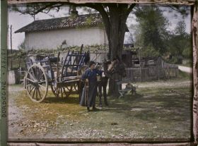 Image représentant France, Les Eyzies, Un seul mulet avec la femme du roulier