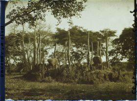 Image représentant Tertre de guerre des rois du Dahomey