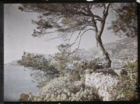 Image représentant La petite terrasse de la villa Dunure