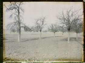 Image représentant France, Les Clayes, Champ et Pommiers