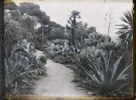 Image représentant le jardin