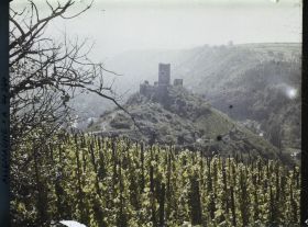 Image représentant Allemagne, Cobern (Moselle), Le Niederburg et vignes