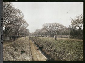 Image représentant Promenade à Koganei