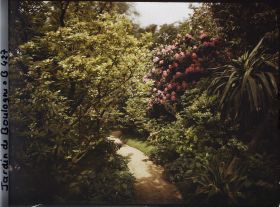Image représentant Massif de rhododendrons en fleurs bordant le nord du marais