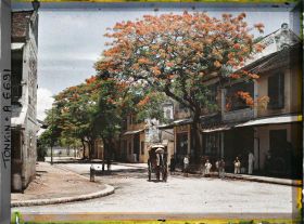 Image représentant Des flamboyants en fleurs, un pousse-pousse et des passants devant le bazar japonais " Yamada " dans la " rue des Tasses "
