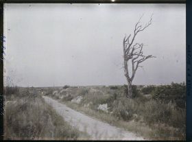 Image représentant France, Nauroy, Aspect Général et la route