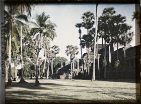 Image représentant Une entrée secondaire de la première galerie pourtournante formant la base du temple-montagne, et les palmiers l'environnant