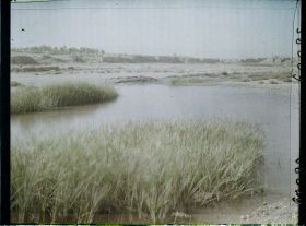 Image représentant Afghanistan, Kalat-i-Ghilzai, Rives du Tarnak